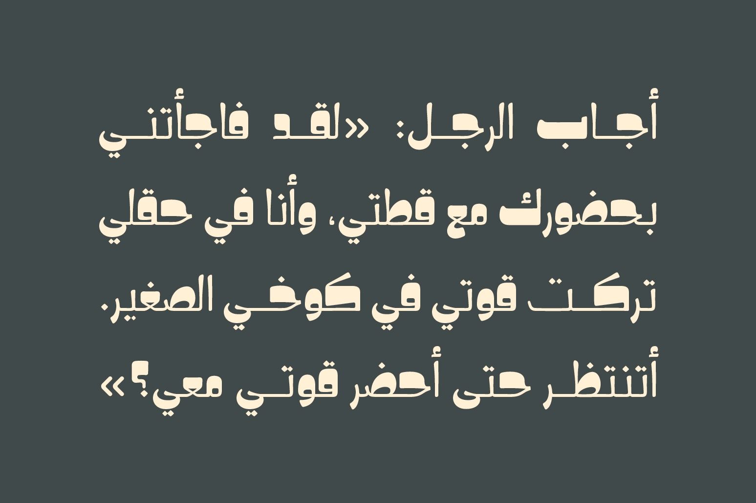 Hekayat - Arabic Font — image 6
