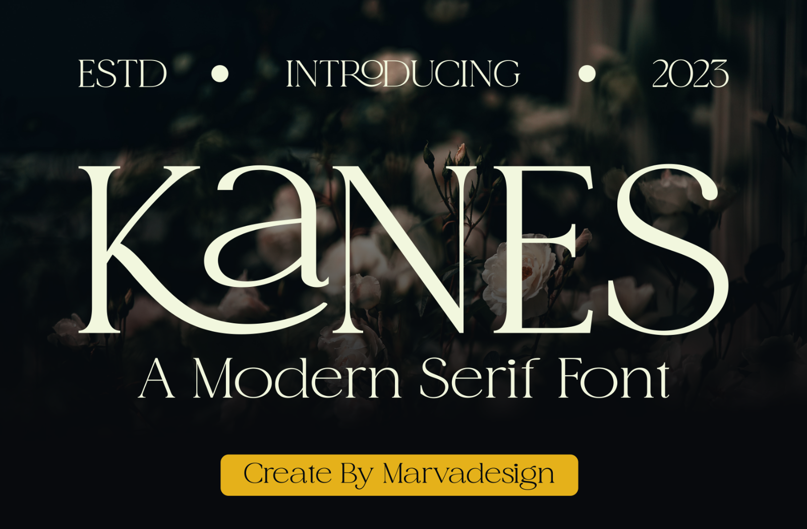 Kanes — image 1