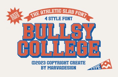 Bullsy College