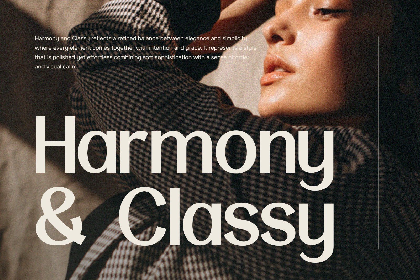 Relova | Elegant & Classy Sans Serif — image 4