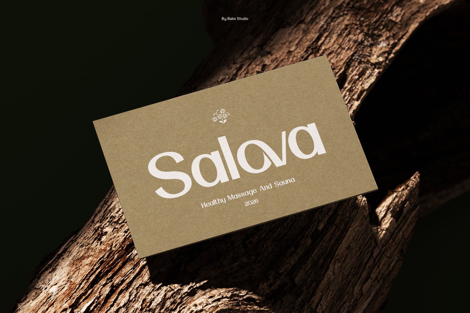 Relova | Elegant & Classy Sans Serif — image 6
