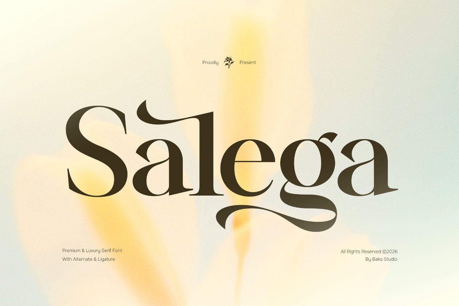 Salega | Premium & Luxury Serif — image 1
