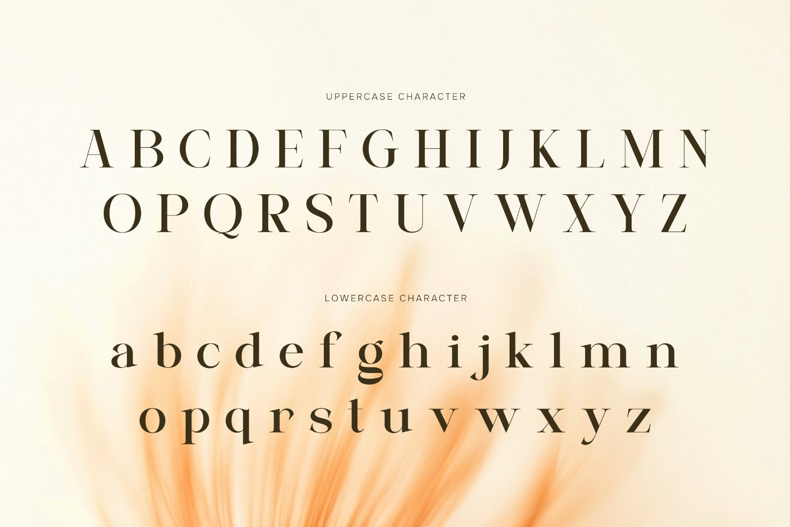Salega | Premium & Luxury Serif — image 10