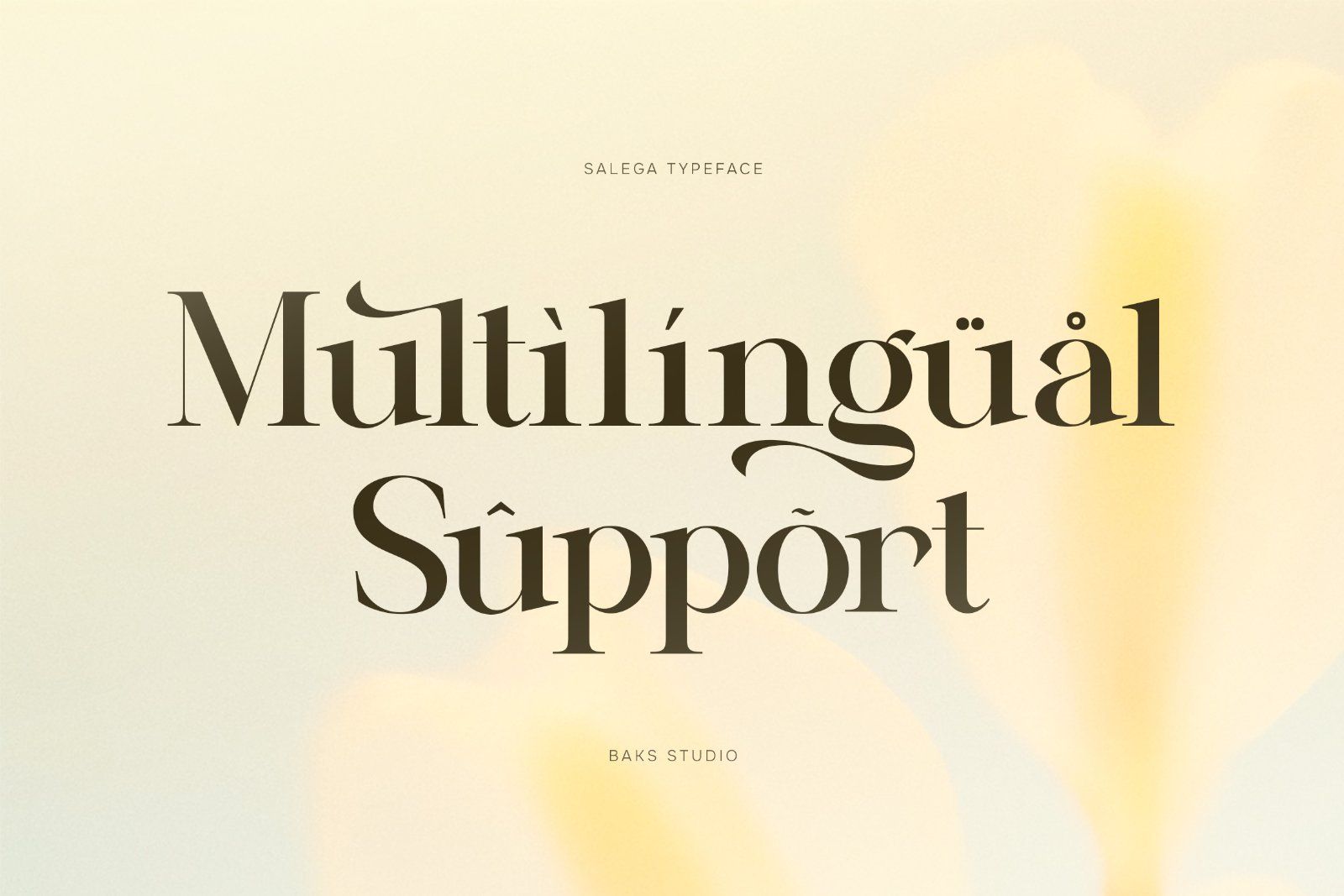 Salega | Premium & Luxury Serif — image 7