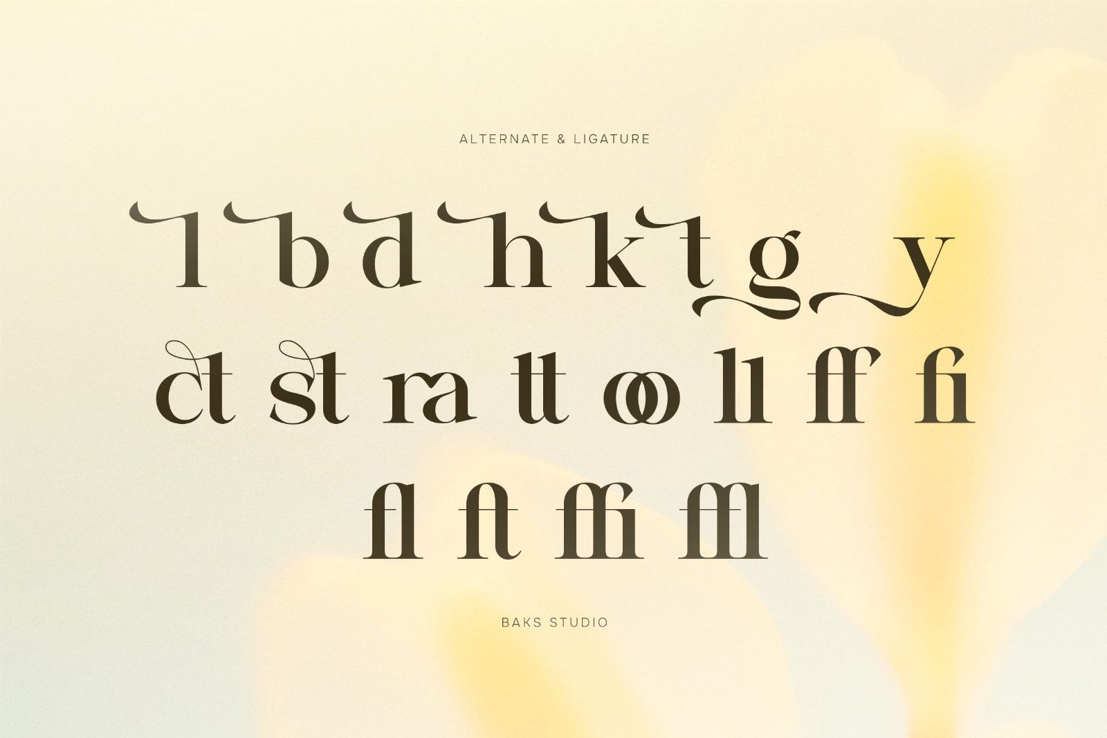 Salega | Premium & Luxury Serif — image 8