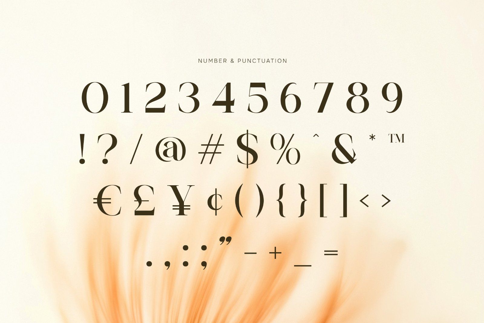 Salega | Premium & Luxury Serif — image 9