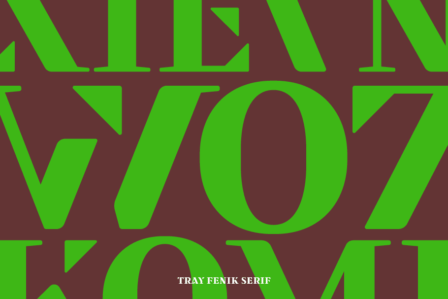 Tray Fenik Serif — image 4