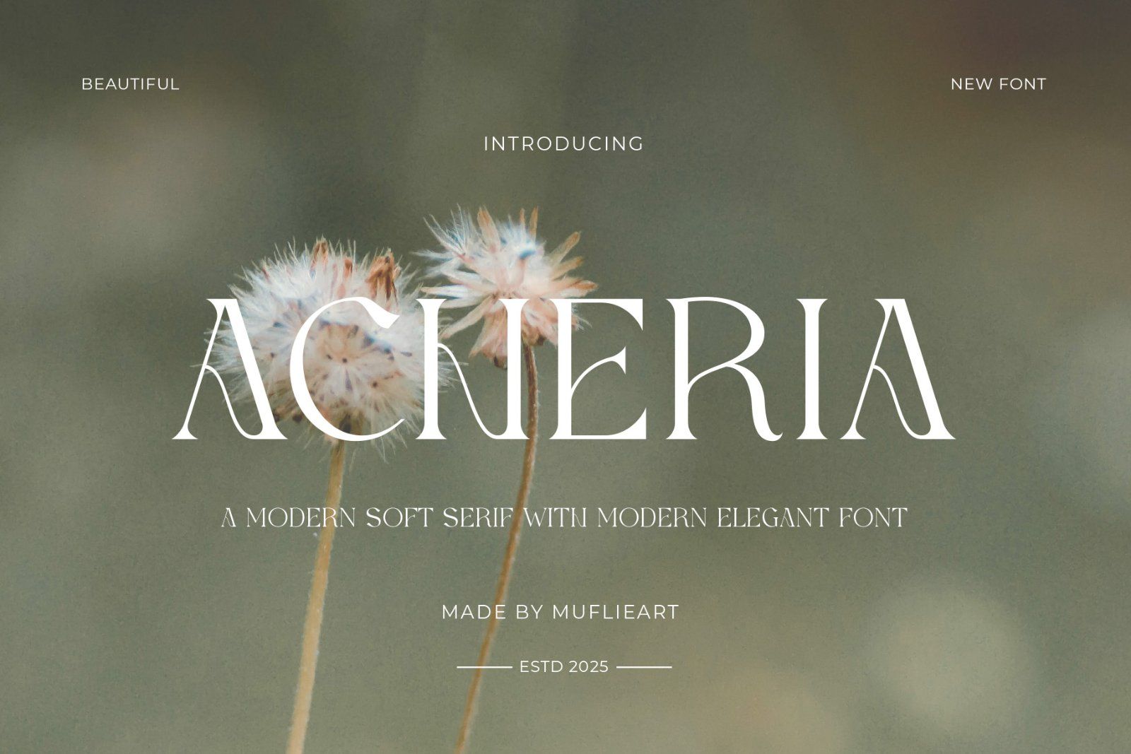Acheria - Modern Soft Serif — image 1