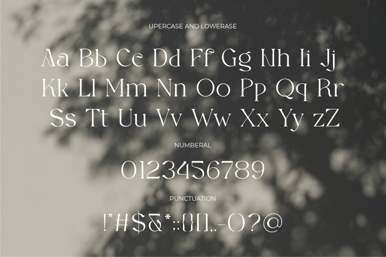 Acheria - Modern Soft Serif — image 8