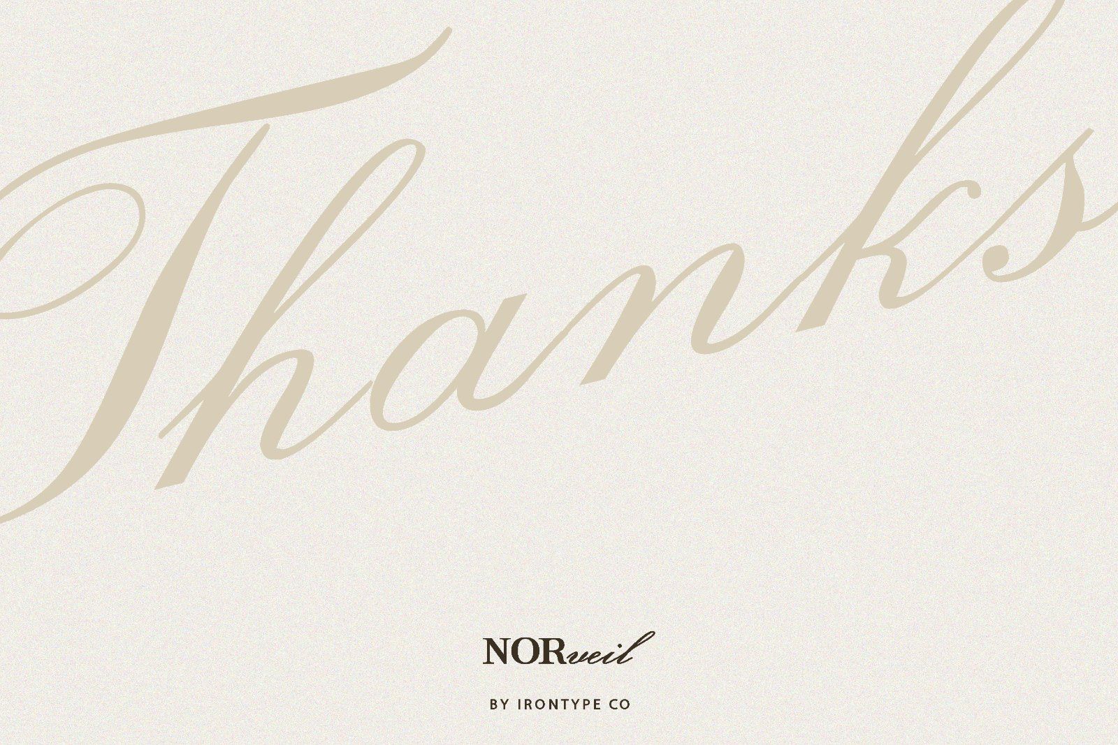 Norveil - Font Duo (Serif and Script) — image 11