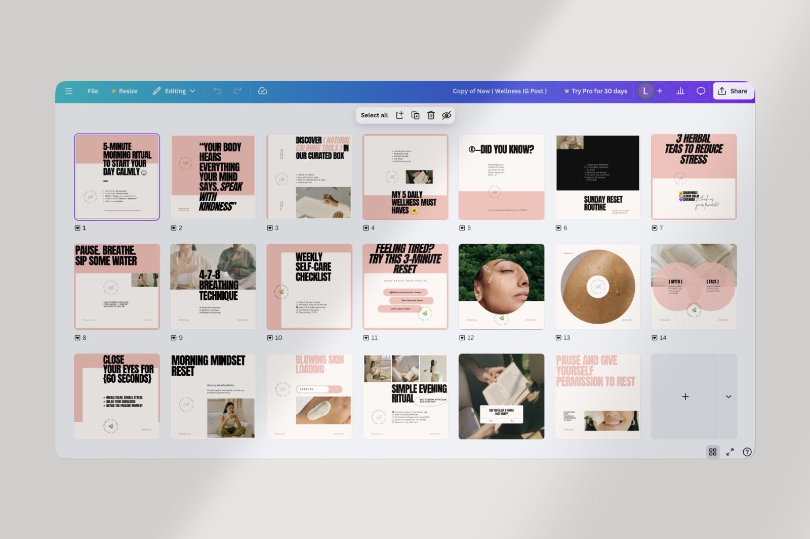 Bold Wellness Social Media Pack – Canva — image 4